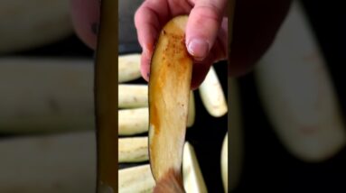 AUBERGINE FRIES #shorts