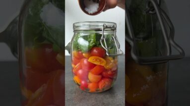 Lacto Tomatoes