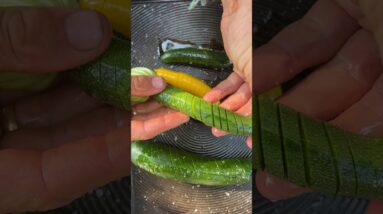 Make Courgettes Sexy #shorts