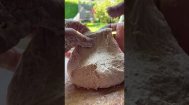 SOURDOUGH MASTERCLASS IN 60 SECONDS #shorts