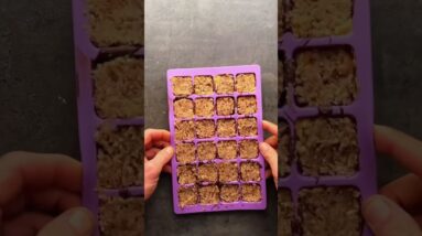 Chocolate caramel mini bites - full recipe https://pages.thehappypear.ie/recipe-club