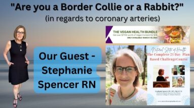"Are you a Border Collie or a Rabbit?"  Tami Interviews Stephanie Spencer RN - Bundle Contributor