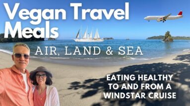 Vegan Travel Meals, Air Land & Sea with Tami Kramer - Nutmeg Notebook