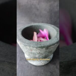 Magnolia Cordial is a perfect refreshing drink for spring and so easy to make!????