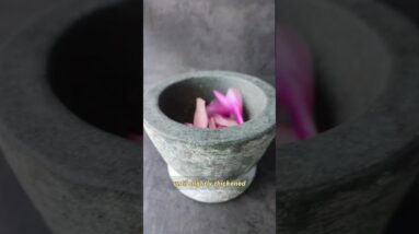 Magnolia Cordial is a perfect refreshing drink for spring and so easy to make!????