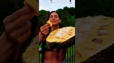 40 LBS OF RIPE JACKFRUIT! ???????????? Tastes like bubblegum & juicyfruit combined! ????