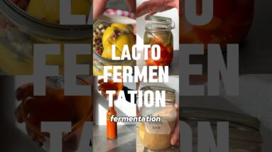 Lactofermented preserved lemons (also known as confit lemons) ????