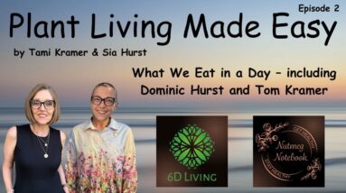 Easy Plant-Based Living With Tami And Sia - What We Eat In A Day