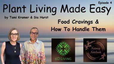 Food Cravings - How To Handle Food Cravings