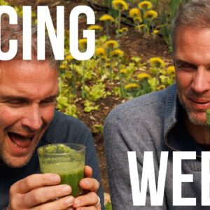Foraging WEEDS to make Super Green Juice | April 2024