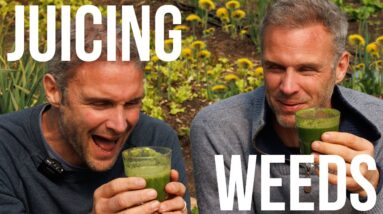 Foraging WEEDS to make Super Green Juice | April 2024