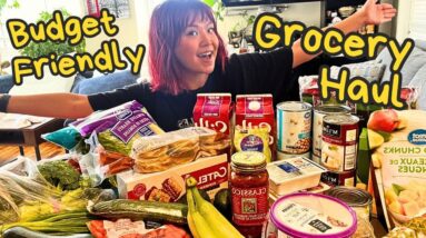 How Much Do Vegan Groceries Cost in 2024?! ???? (Budget Friendly Vegan Grocery Haul!)