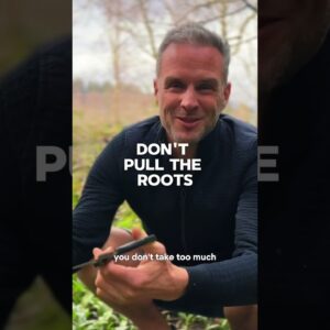 Wild Garlic 3 Ways: Wild Garlic Pesto, Garlic Infused Oil, Fermented Wild Garlic ????