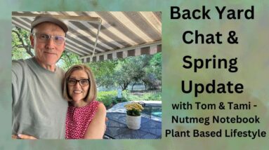 Nutmeg Notebook is live! Backyard Chat & spring update!