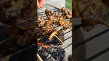 Peanut Satay BBQ Skewers ???? FREE Plant-based Cooking Webinar - link in bio to learn more ????