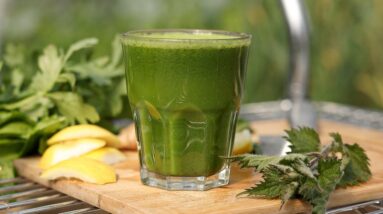 SUPER GREENS JUICE from Foraged nutrient filled WEEDS