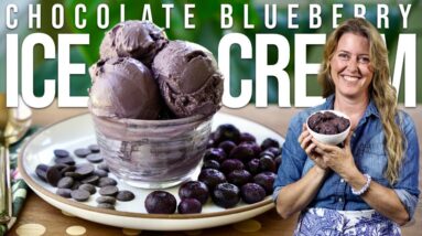 Vegan Chocolate Blueberry Ice Cream that WON'T Spike Your Blood Sugar!