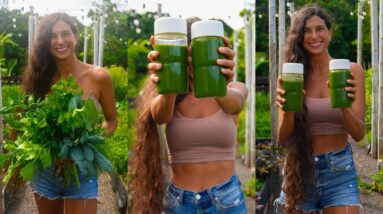 3 Juicing Secrets for Beginners + Simple, Healthy, & Delicious Green Juice Recipe from My Garden ????????