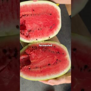 We bought €20 watermelon and turned it into the most refreshing fizzy punch with wild fermentation!