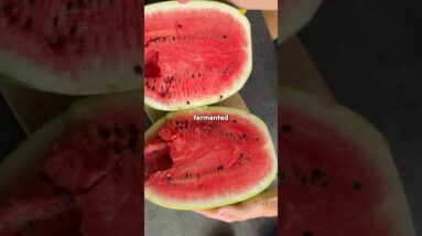 We bought €20 watermelon and turned it into the most refreshing fizzy punch with wild fermentation!