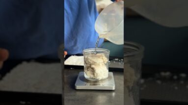 THIS IS MOULD 🤯 Introducing Koji, a secret weapon for BIG flavour 💯