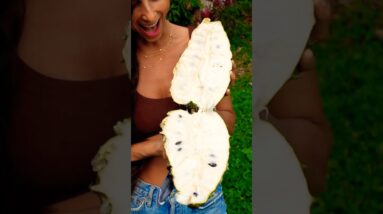 My First Soursop (Guanabana) Harvest! 🌿💚🥳✨ This amazing fruit has incredible benefits! 💫