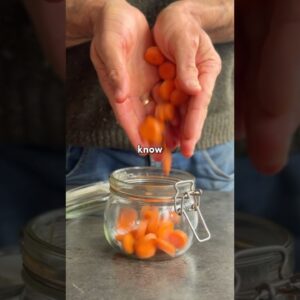 Beat the Flu! Homemade Fizzy Immunity Soda with CARROT BUG 🫧