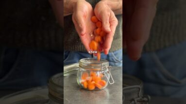 Beat the Flu! Homemade Fizzy Immunity Soda with CARROT BUG 🫧