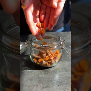 TURMERIC BUG 🫧 The secret to making probiotic fizzy drinks at home!
