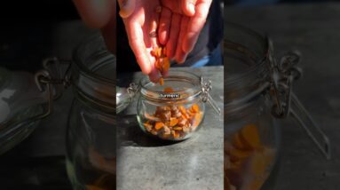 TURMERIC BUG 🫧 The secret to making probiotic fizzy drinks at home!
