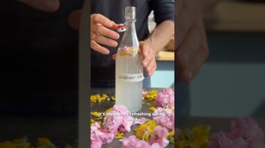 🌸 Wildflower Soda 🌸 a floral, probiotic-rich soda that’s as elegant as it is refreshing.