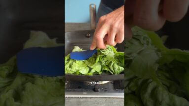 Crazy or genius? Let us know! 🥬