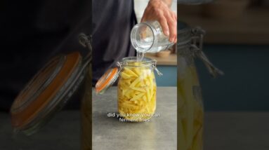 Did you know you can ferment fries?