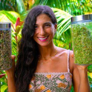 How to Grow Sprouts EASILY for 25 Cents a Day! 🌱Jar Growing Method for Beginners