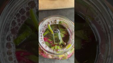 How to transform leftover veg into a gut loving superfood 💯