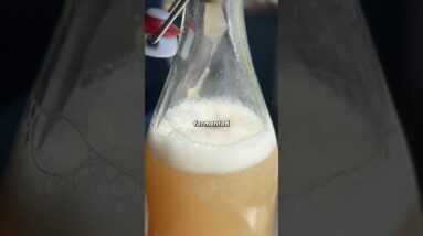 Not your typical bottle of bubbly…