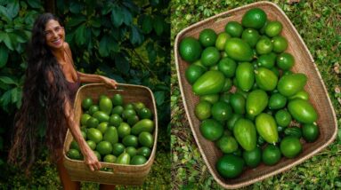 My First Avocado Harvest! 👩🏻‍🌾 How I Grew Trees from Seed in 4-Years 🌱13 Varieties 🥑 w/ David Wolfe!