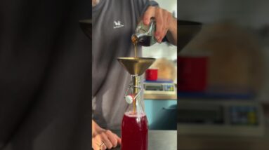 Turn a simple root veg into a sparkling fermented tonic 🫧