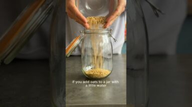 Turn oats into a fizzy gut friendly drink in just 3 days!