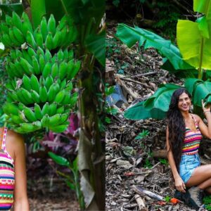 Planting 100+ Banana Palms 🍌🌴🐒 Before & After Property Transformation 🌱 Raw Vegan Living in Hawaii 🌺