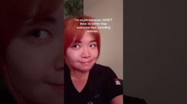 Vegans don’t care about human rights? #shorts