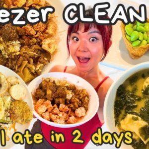 WHAT I ATE IN A DAY x2 (Freezer Cleanout Meals) as a VEGAN