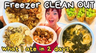 WHAT I ATE IN A DAY x2 (Freezer Cleanout Meals) as a VEGAN