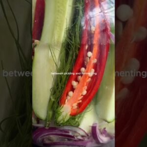 Ever wondered what’s the difference between pickling and fermenting?