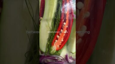 Ever wondered what’s the difference between pickling and fermenting?