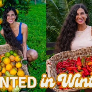 What I Plant in Winter for Food All Summer 🌱 + Orchard & Garden Tour