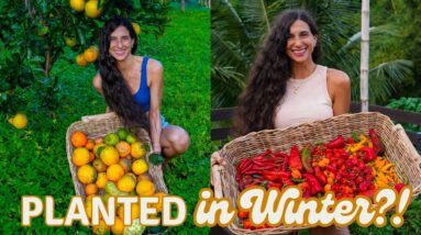 What I Plant in Winter for Food All Summer 🌱 + Orchard & Garden Tour