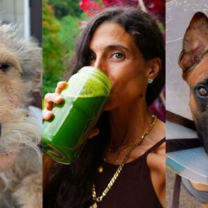 Everything Went Wrong This Week 😳… But This Saved Me 🐾  … Animal Mayhem, Rescue Pup & My New 1% Rule