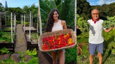 I Couldn’t Face My Garden After My Dad Died…Until Today 🌱